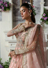 Formals - Akbar Aslam - Deewani 25 - ADF#1570 - Sanoura