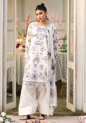 Lawn - Humdum - Gardenia 26 - D#02