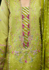 Winter - Rang Rasiya - Luxe Silk 25 - RRLS#08 - Radin