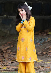 Pret - Abar - Jawahir 26 - D#40275 - Sunahri Bahar