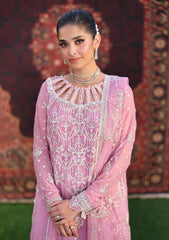 Formals - Roheenaz - Aangan - Chiffon 25 - D#105 - Naaz