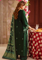 Winter - Mahnur - Nova Khaddar - NK25#03