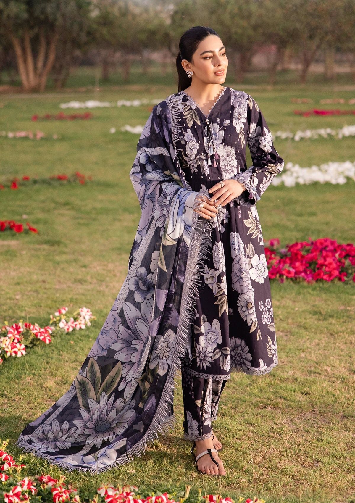 Lawn Collection - Alizeh - Sheen - Volume 2 - ALS24#23 - CALLA