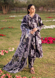 Lawn Collection - Alizeh - Sheen - Volume 2 - ALS24#23 - CALLA