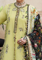 Lawn - Hussain Rehar - Nirmal - Spring Summer '25 - Suk
