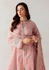 Formals - Aik Atelier - Unstitched 25 - Vol-I - Look#02