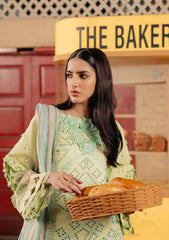 Lawn Collection - Parishay - Fashion Street - PFS#08