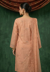 Formals - Riwaj - Fancy Net - 2 Pcs Suit - CND#1100 - Rust