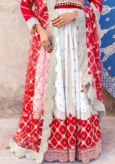 Formals - Zarqash - Arzoo - Wedding Festive 25 - Gulrukh