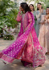 Formals - Mushq - Shaam Shandar - Chiffon 25 - GEET GULABI