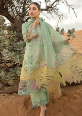 Lawn Collection - Rang Rasiya - Premium - RSP24#08 - Elnaz