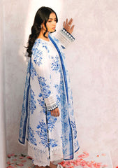 Lawn Collection - Xenia - Summer Soiree - D#09 - Grasse