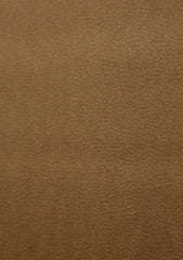 Scabal Super 100's Cashmere Plain Wool Fabric - Camel