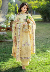 Lawn - Elaf Premium - Luxury 26 - ELY#05 - SOUCI