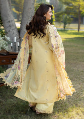 Lawn - Elaf Premium - Luxury 26 - ELY#05 - SOUCI
