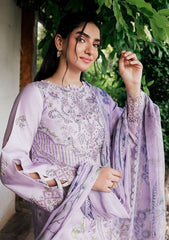 Winter - Florent - Zync 25 - FL#07-A