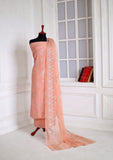 Formal Collection - Fancy Closet - 3 pcs Suit - D#22 Peach