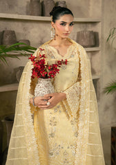 Formals - Gulaal - Azira - Luxury 25 - AUREVA