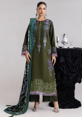 Winter - Parishay - Velvet Palachi Shawl 26 - CHE#08