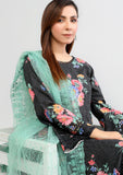 Lawn Collection - Noorma Kaamal - Printkari - DCP#02