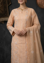 Formals - Riwaj - Fancy 26 -  Ari & Mukesh Work - 2 Pcs - D#01 - Peach 1