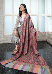 Pure Pashmina Handmade Shawl D - 0024