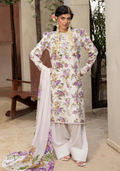 Winter - Humdum - Zaiba - Karandi 25 - D#10