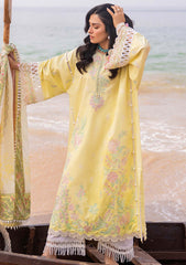 Lawn Collection - Sadaf Fawad Khan - Siraa - AMANI - A