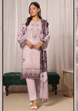 Winter Collection - Dressline - Mahrukh - DM24#11825 B