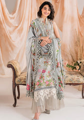 Winter Collection - Asifa & Nabeel - Meraki - Volume 01 - AM24#09 - Frost