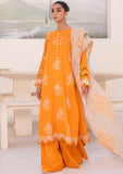 Lawn Collection - Humdum - ARZU - ALL24#02