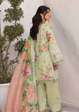 Lawn Collection - Asifa & Nabeel - Aleyna - V02 - CAMELLIA (ALV-07)