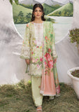 Lawn Collection - Asifa & Nabeel - Aleyna - V02 - CAMELLIA (ALV-07)