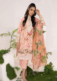 Lawn Collection - Asifa & Nabeel - Aleyna - V02 - PEONY (ALV-08)