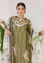 Lawn Collection - Asifa & Nabeel - Aleyna - V02 - OLIVE (ALV-10)