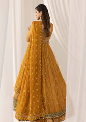Formal Collection - Asifa & Nabeel - Barasti - Festive - ANB#3 - Chashni
