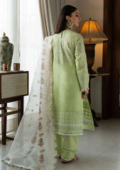 Lawn Collection - Aik Atelier - Samah - AS24#07