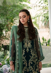 Formal Collection - Alif - Luxury - Wedding - TEAL - 02