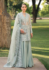 Formal Collection - Ayzel - Pehli Nazar - AP24#04 - SULTANA