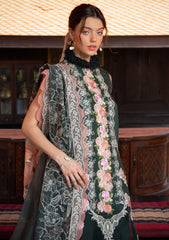 Lawn Collection - Asifa & Nabeel - Rosemary Luxury - RL24#03 - CHARISMA