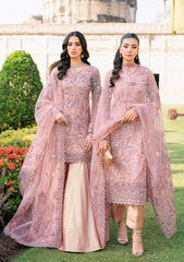 Formal Collection - Ramsha - Wedding - H#207