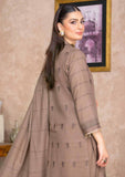 Winter Collection - Bin Rashid - Lok Virsa - BL24#01