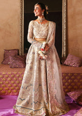 Formal Collection - Nureh - Jhoomro - NJ24#72 - CHANDNI