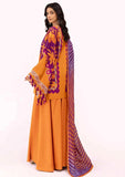 Winter Collection - Gul Ahmed - 3Pcs Unstitched 24 - CD-42008