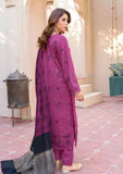 Winter Collection - Bin Rashid - Brali - BRB24#01