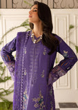 Winter Collection - Marjjan - Serene 24 - MS#29 - B