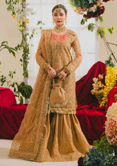 Formal Collection - Raum By Sarb - Mah-e-Noor - Wedding - RM24#06