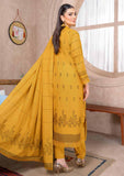 Winter Collection - Bin Rashid - Lok Virsa - BL24#09