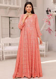 Formal Dress - Rubaaiyat - Chiffon with Sequence - D#1 B