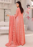 Formal Dress - Rubaaiyat - Chiffon with Sequence - D#1 B